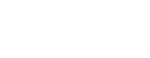 Boss logo