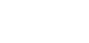 BOSS Gruppe Logo White small